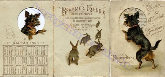 BRAMMER HENRIK BUDAPEST GŐZ CSOKOLÁDÉ CACAO CSEMEGECZUKORKA ÉS TEASÜTEMÉNY GYÁR 1893_0001.jpg