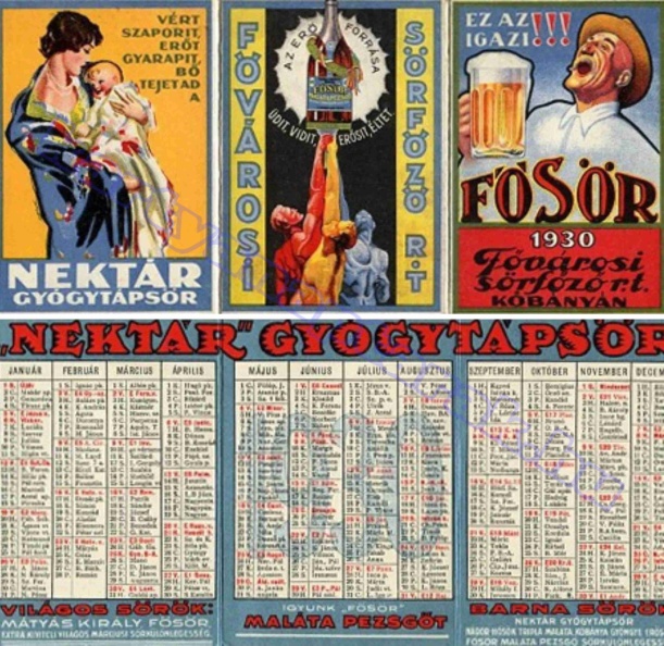 FŐVÁROSI SÖRFŐZŐ KŐBÁNYÁN AZ ERŐ FORRÁSA VÉRT SZAPORÍT ERŐT GYARAPÍT BŐ TEJET AD NEKTÁR GYÓGYTÁPSÖR 1930_0012.jpg
