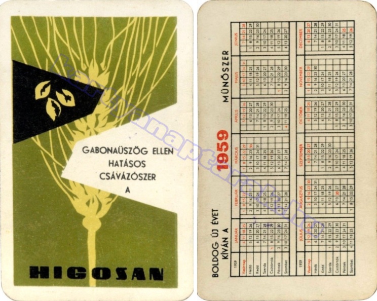 GABONAÜSZÖG ELLEN HATÁSOS A CSÁVÁZÓSZER A HIGOSAN 1959_0037.jpg
