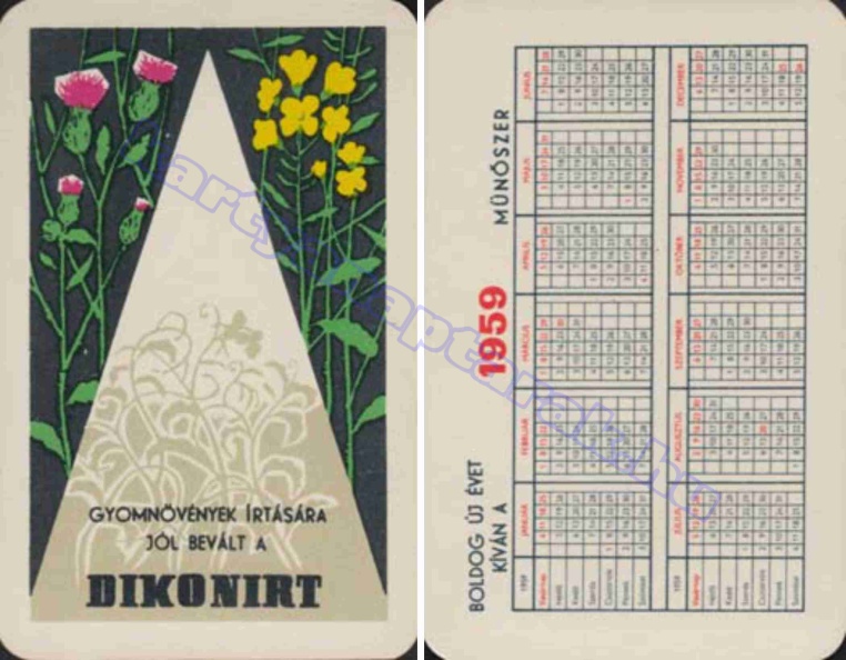GYOMNÖVÉNYEK ÍRTÁSA JÓL BEVÁLT A DIKONIRT 1959_0039.jpg