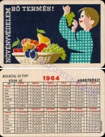 1964 0019