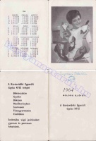1964 0166