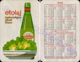 1966 0024