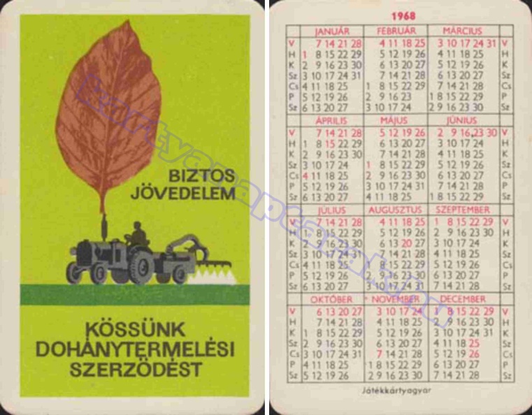 BIZTOS JÖVEDELEM KÖSSÜNK DOHÁNYTERMELÉSI SZERZŐDÉST 1968_0168.jpg
