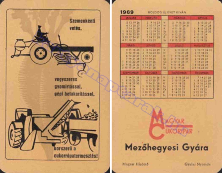 SZEMENKÉNTI VETÉS, VEGYSZERES GYOMÍRTÁSSAL, GÉPI BETAKARÍTÁSSAL, KORSZERŰ A CUKORRÉPATERMESZTÉS! 1969_0085.jpg
