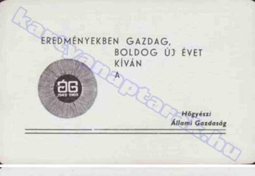 Hőgyész