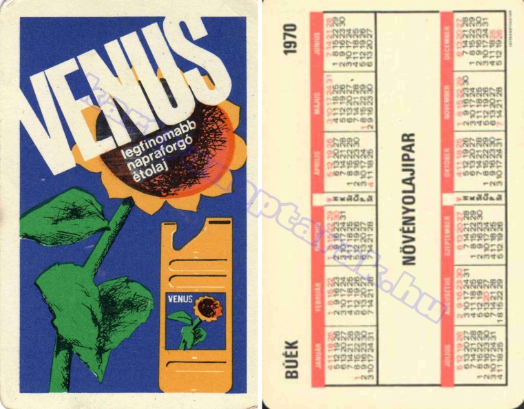 VENUS LEGFINOMABB NAPRAFORGÓ ÉTOLAJ 1970_0369.jpg