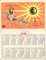1971 0243