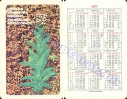 1971 0298