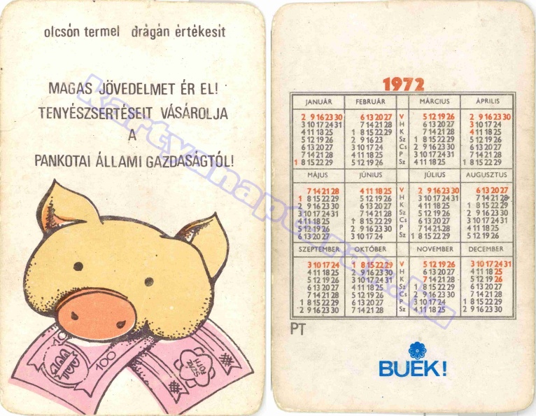 OLCSÓN TERMEL DRÁGÁN ÉRTÉKESÍT MAGAS JÖVEDELMET ÉR EL! TENYÉSZSERTÉSEIT VÁSÁROLJA A PANKOTAI ÁLLAMI GAZDASÁGTÓL 1972_0030.jpg