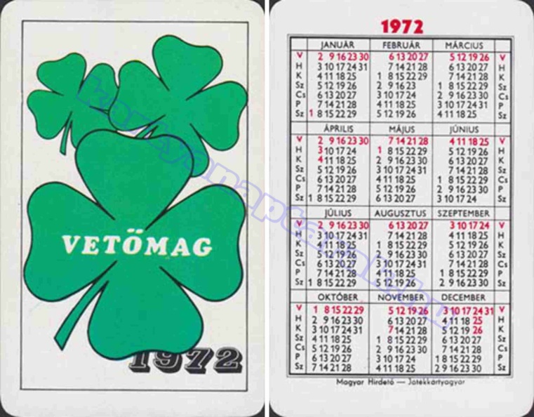VETŐMAG 1972_0174.jpg