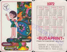 1972 0393