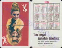 1972 0595