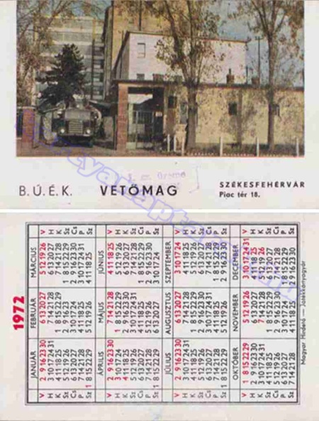 BUÉK VETŐMAG SZÉKESFEHÉRVÁR PIAC TÉR 18. 1972_0762.jpg