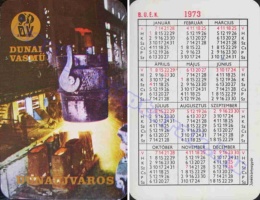 1973 0299