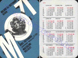 1973 0481