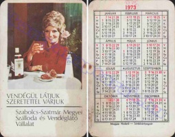 1973 0677