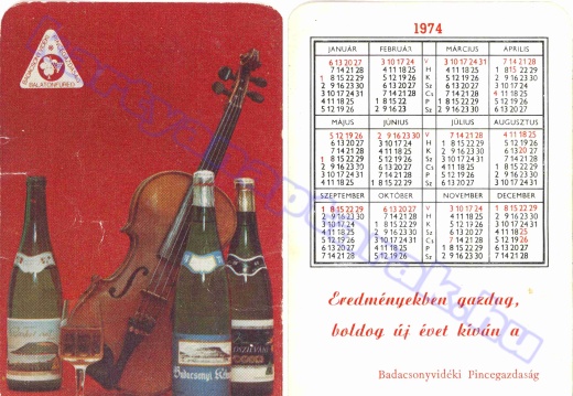 Hegedű - Violin