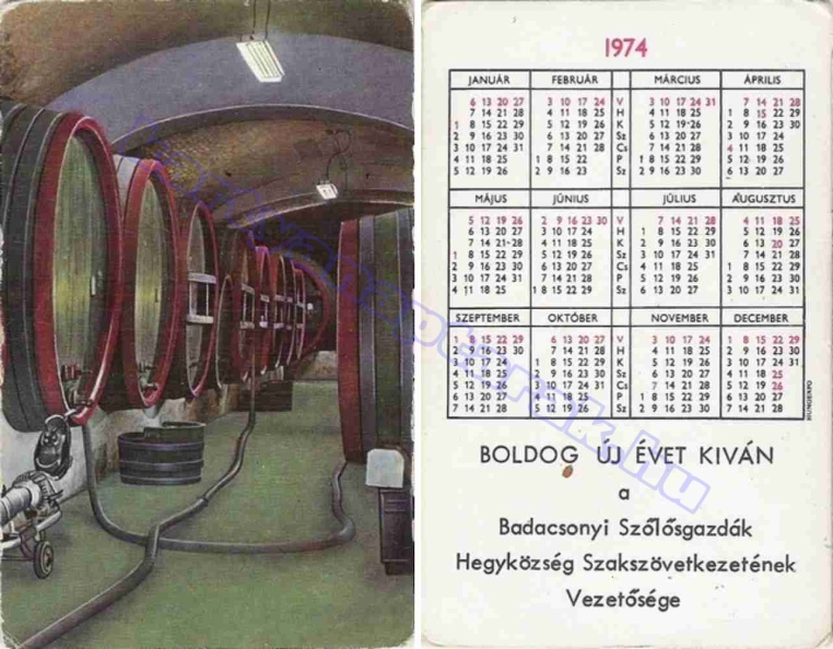 BUÉK A BADACSONYI SZŐLŐSGAZDÁK HEGYKÖZSÉG SZAKSZÖVETKEZETÉNEK VEZETŐSÉGE 1974_0159.jpg