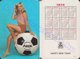 1974 0219