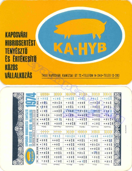 KAHYB KAPOSVÁRI HIBRIDSETÉS TENYÉSZTŐ ÉS ÉRTÉKESÍTŐ KÖZÖS VÁLLALKOZÁS 1974_0244.jpg