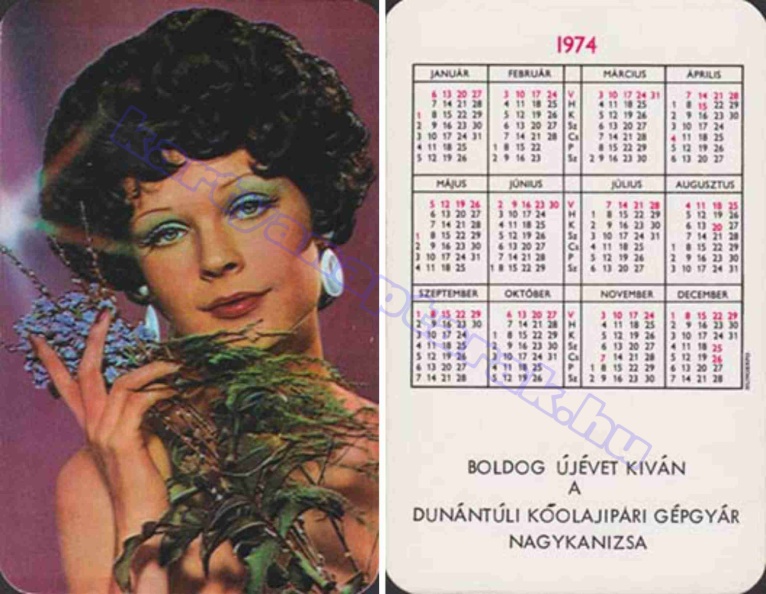 BUÉK A DUNÁNTÚLI KŐOLAJIPARI GÉPGYÁR NAGYKANIZSA 1974_0336.jpg