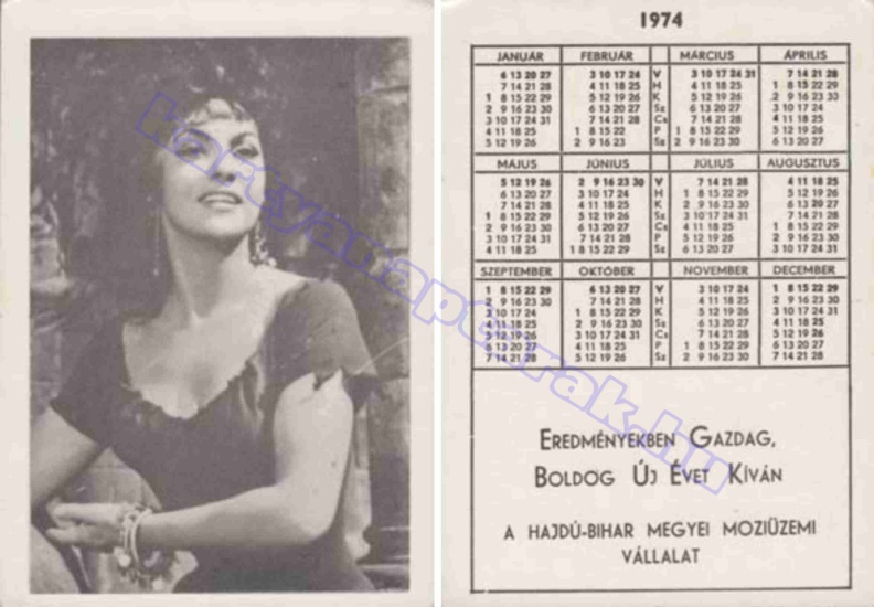 HAJDÚ-BIHAR MEGYEI MOZIÜZEMI VÁLLALAT 1974_0499.jpg
