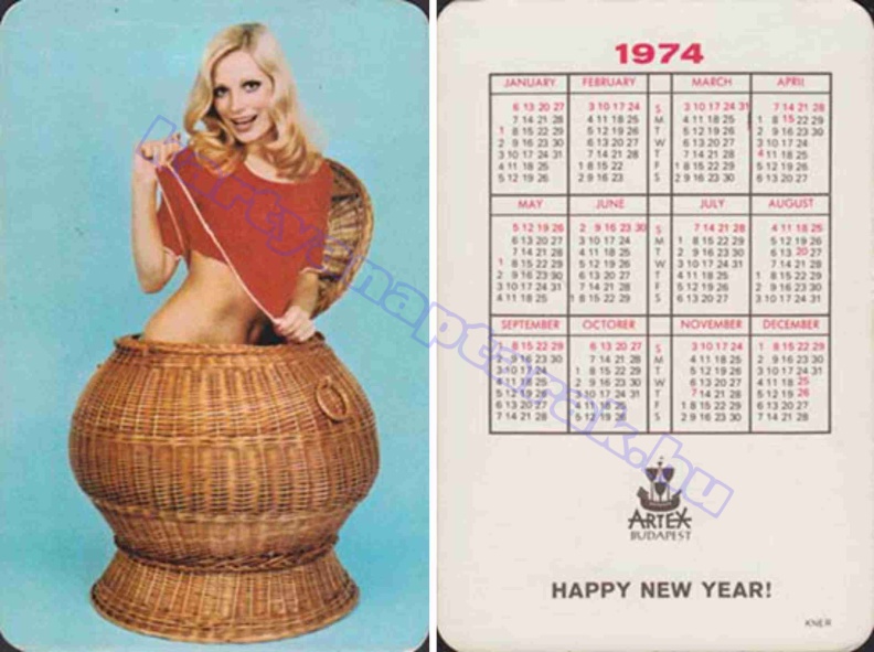 ARTEX BUDAPEST HAPPY NEW YEAR 1974_0785.jpg