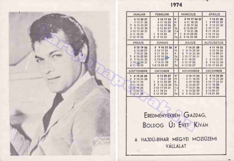BUÉK A HAJDÚ-BIHAR MEGYEI MOZIÜZEMI VÁLLALAT TONY CURTIS 1974_0828.jpg