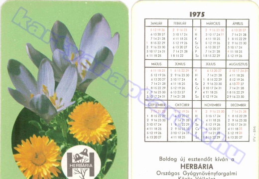 Virág - Flower