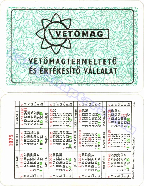 VETŐMAGTERMELTETŐ ÉS ÉRTÉKESÍTŐ VÁLLALAT 1975_0078.jpg
