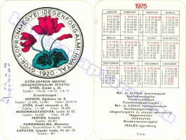 1975 0163