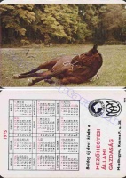 1975 0323