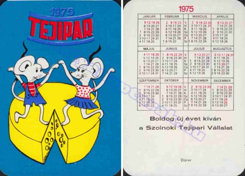 TEJIPAR BUÉK A SZOLNOKI TEJIPARI VÁLLALAT 1975_0725.jpg