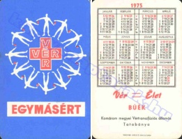 1975 0804