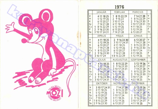 1976 - Tolna megyei mozi