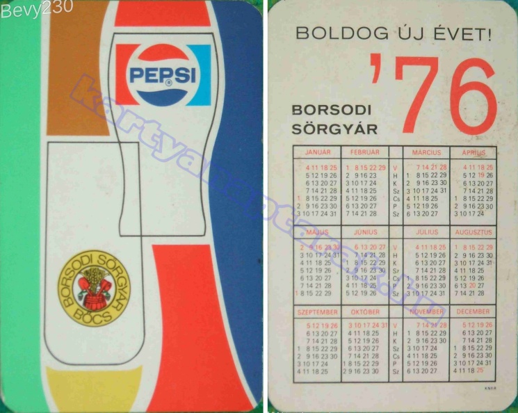 PEPSI BORSODI SŐRGYÁR BŐCS 1976_0422.jpg