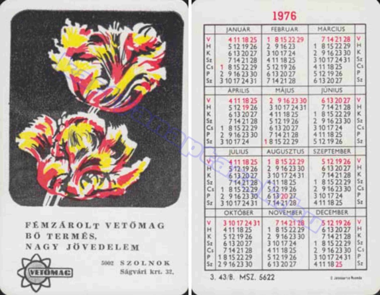 FÉMZÁROLT VETŐMAG BŐ TERMÉS, NAGY JÖVEDELEM SZOLNOK 1976_0790.jpg