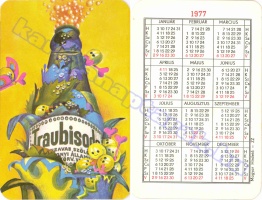 1977 0084