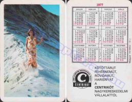 1977 0493