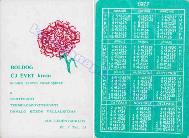 BUÉK A KERTÉSZETI TERMELŐSZÖVETKEZETI ÖNÁLLÓ KÖZÖS VÁLLALKOZÁS LÉBÉNYMIKLÓS 1977_0561.jpg