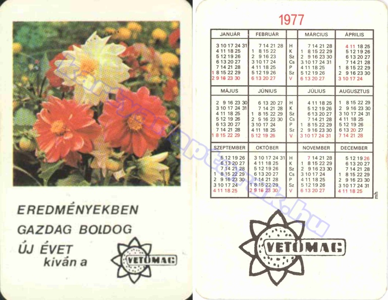 BUÉK A VETŐMAG 1977_0687.jpg