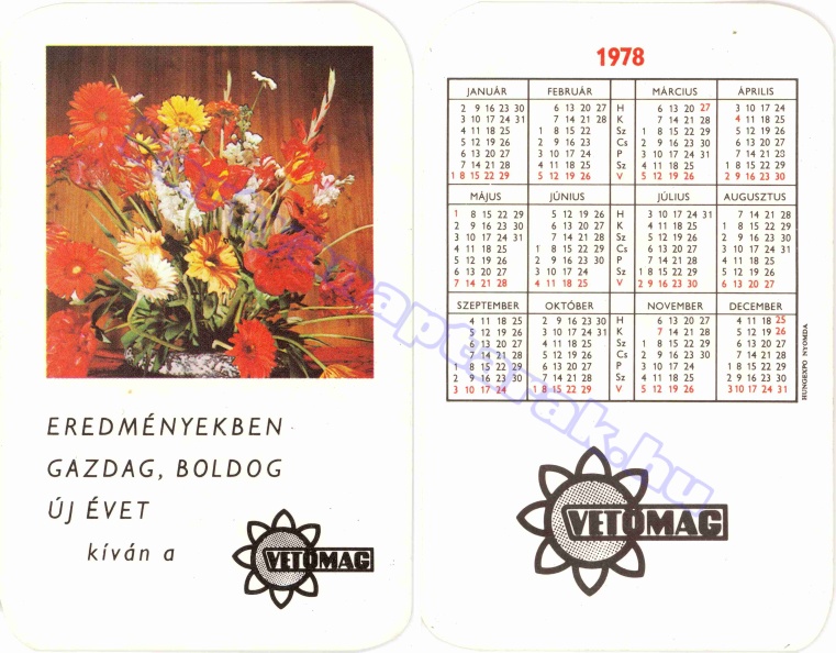 BUÉK A VETŐMAG 1978_0240.jpg