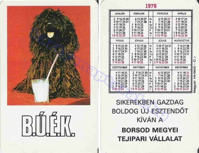 BUÉK SIKEREKBEN GAZDAG BUÉK A BORSOD MEGYEI TEJIPARI VÁLLALAT 1978_0324.jpg