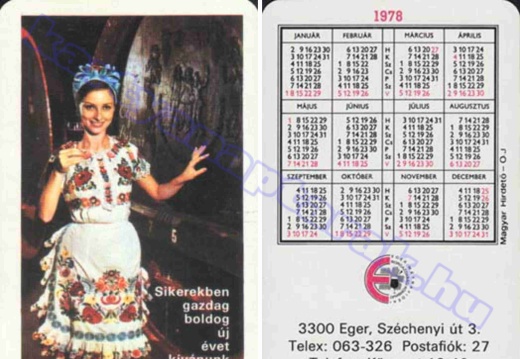 Népviselet - Traditional costume