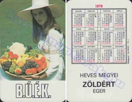 1978 0699