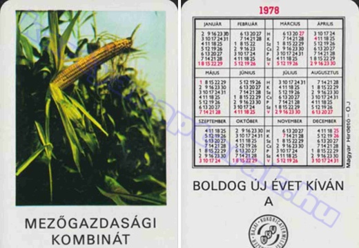 Kukorica - Corn