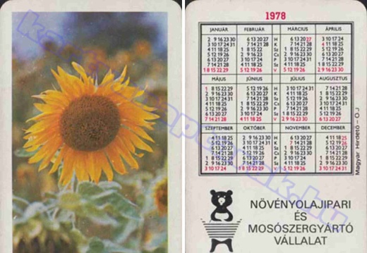 Napraforgó - Sunflower