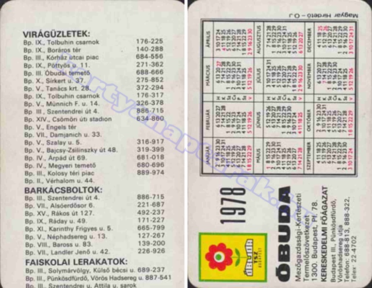 VIRÁGÜZLETEK BARKÁCSBOLTOK FAISKOLAI LERAKATOK ÓBUDA MEZŐGAZDASÁGI KERTÉSZETI TSZ 1978_0929.jpg