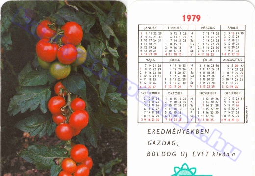 Paradicsom - Tomato